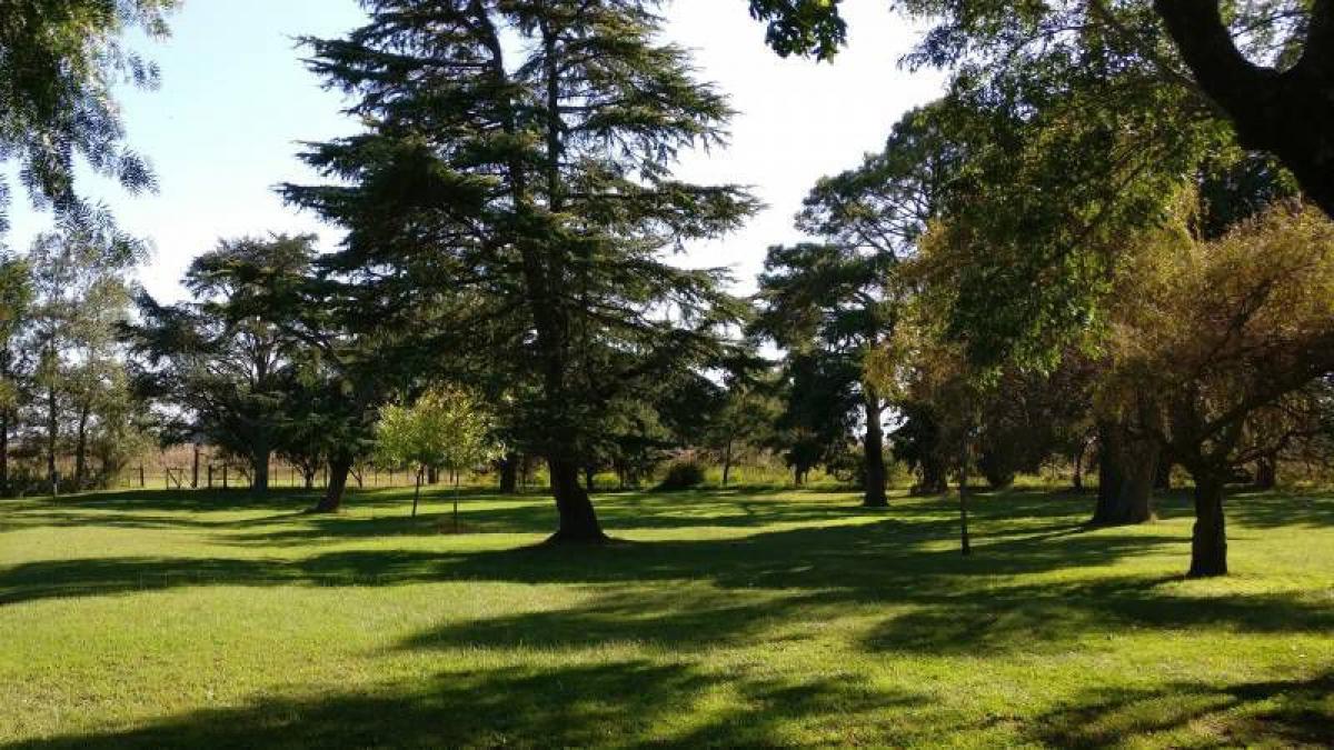 Picture of Home For Sale in Bragado, Buenos Aires, Argentina