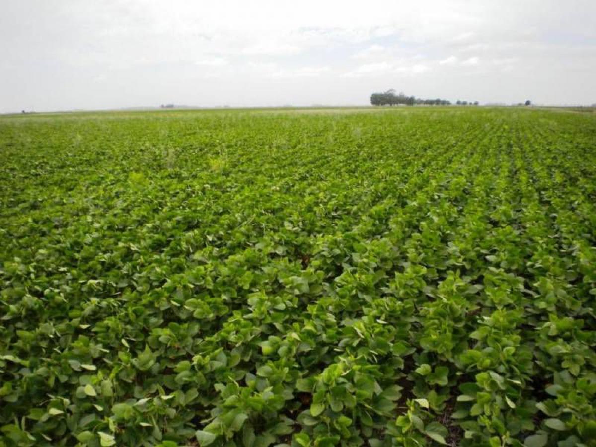 Picture of Home For Sale in Benito Juarez, Buenos Aires, Argentina