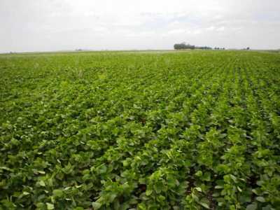 Home For Sale in Benito Juarez, Argentina