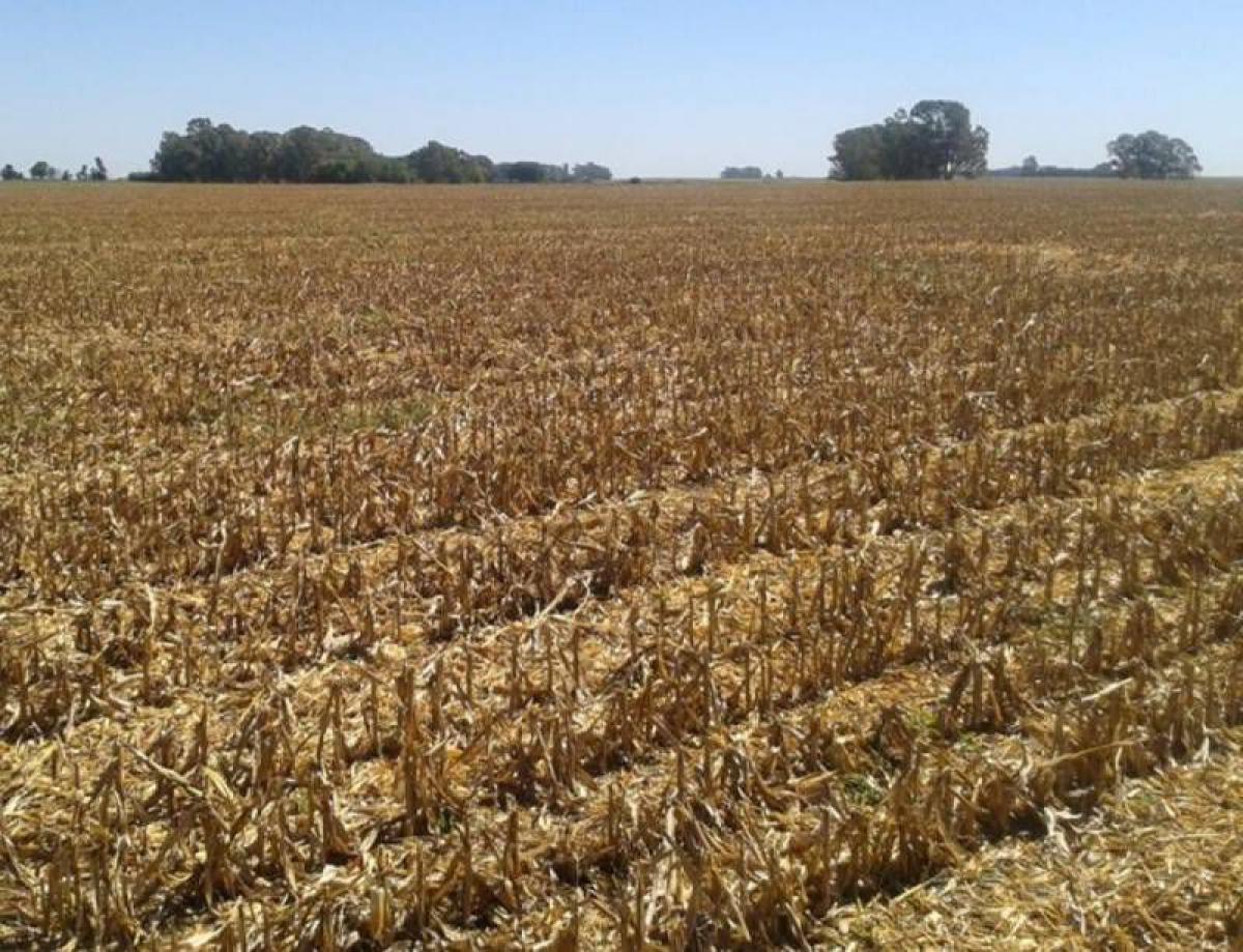 Picture of Home For Sale in General Arenales, Buenos Aires, Argentina