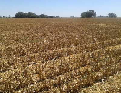 Home For Sale in General Arenales, Argentina