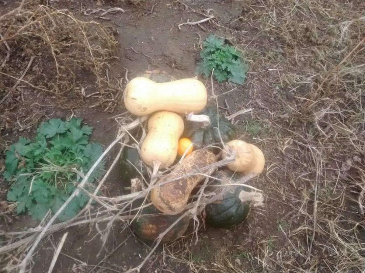 Picture of Residential Land For Sale in Cordoba, Cordoba, Argentina