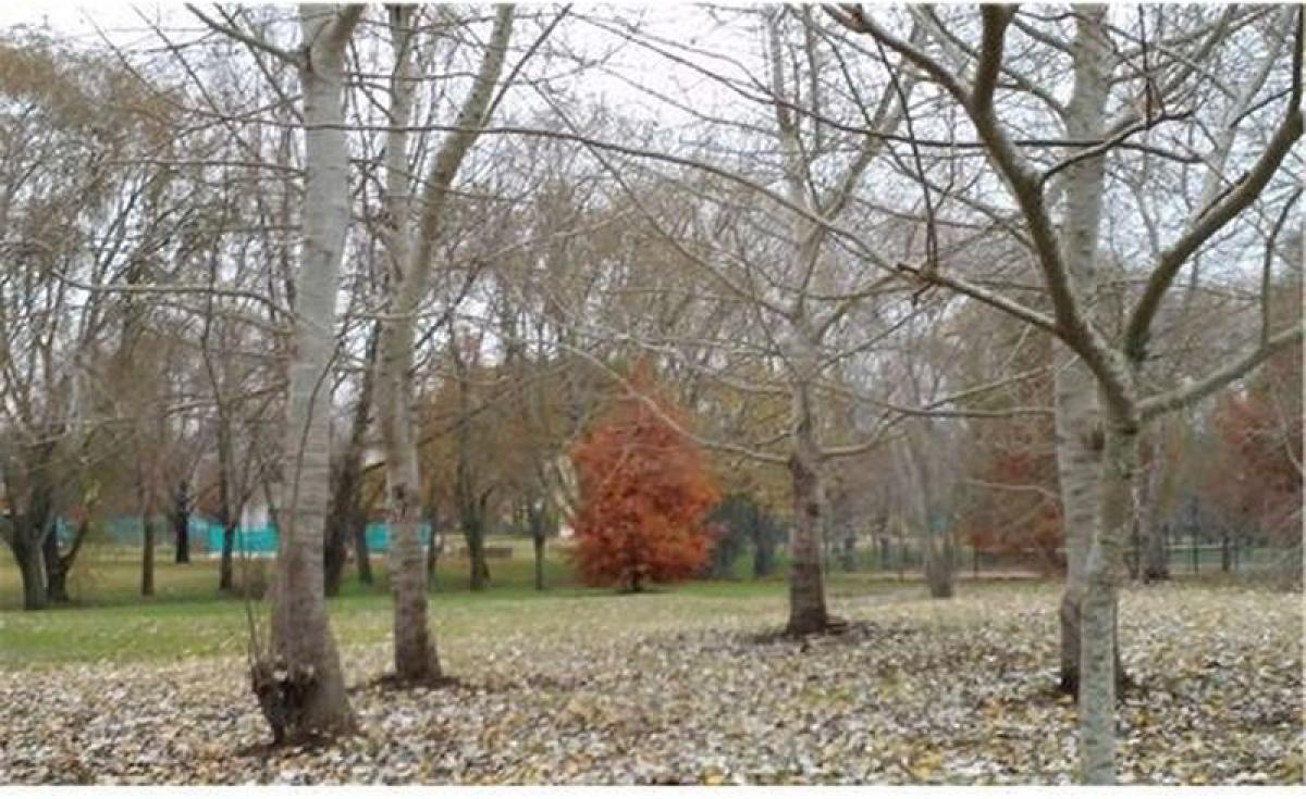 Picture of Residential Land For Sale in Exaltacion De La Cruz, Buenos Aires, Argentina