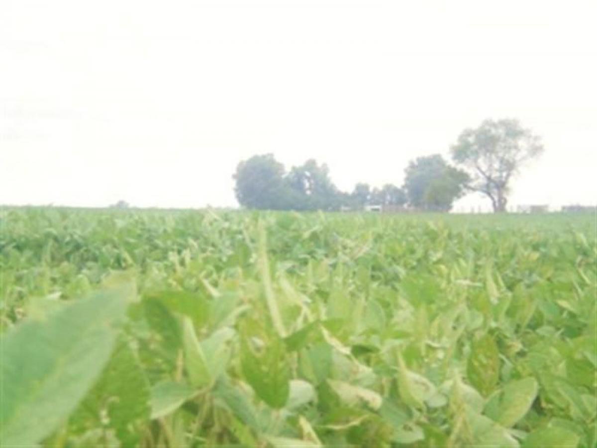 Picture of Residential Land For Sale in General Alvear, Buenos Aires, Argentina