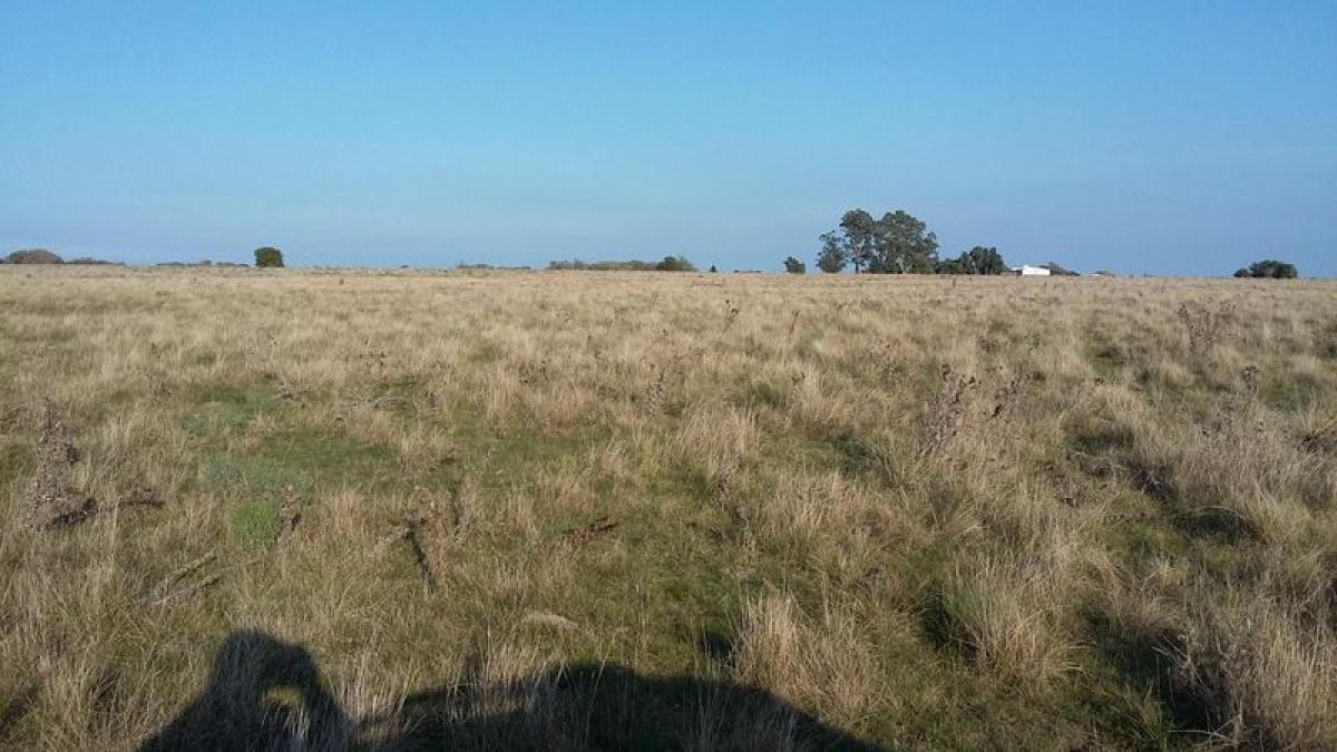 Picture of Home For Sale in Punta Indio, Buenos Aires, Argentina