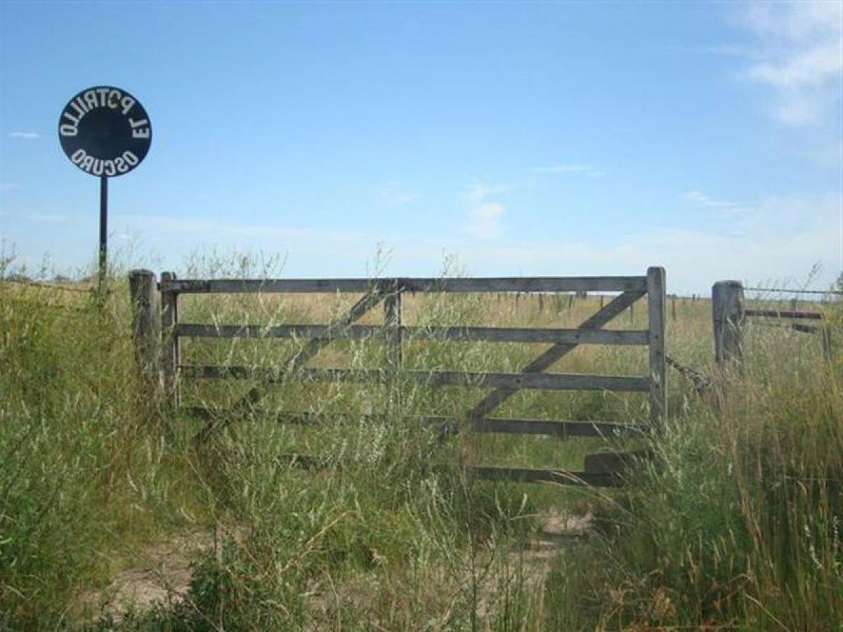 Picture of Residential Land For Sale in Carlos Tejedor, Buenos Aires, Argentina