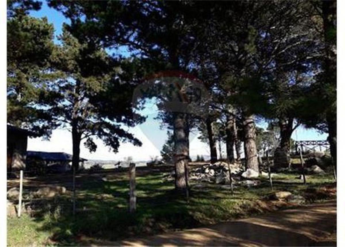 Picture of Residential Land For Sale in Tandil, Buenos Aires, Argentina