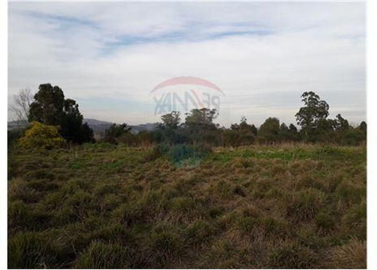 Picture of Residential Land For Sale in Tandil, Buenos Aires, Argentina