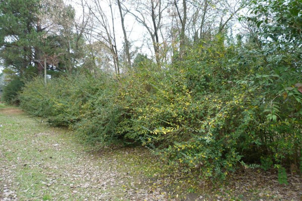 Picture of Residential Land For Sale in Exaltacion De La Cruz, Buenos Aires, Argentina