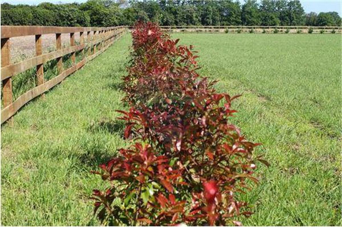 Picture of Residential Land For Sale in San Antonio De Areco, Buenos Aires, Argentina