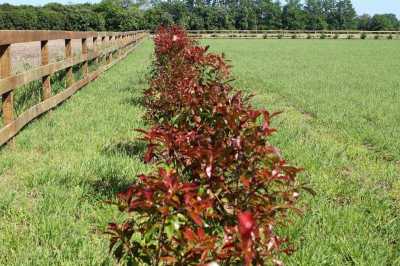 Residential Land For Sale in San Antonio De Areco, Argentina