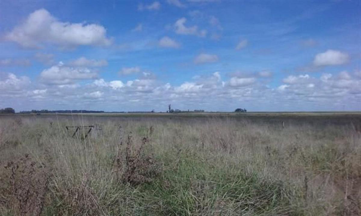 Picture of Residential Land For Sale in Brandsen, Buenos Aires, Argentina