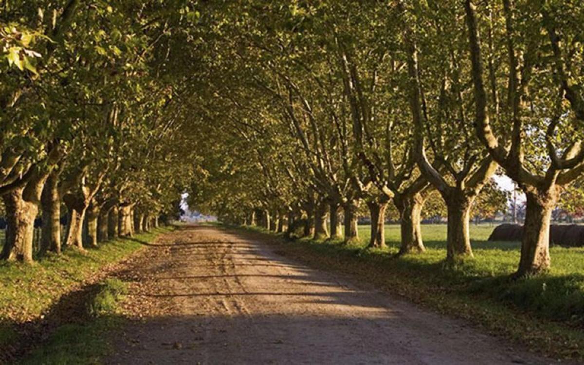 Picture of Residential Land For Sale in Buenos Aires Interior, Buenos Aires, Argentina