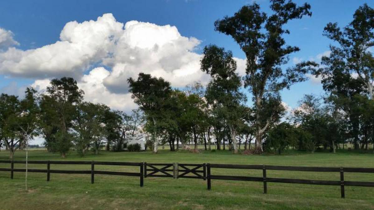 Picture of Home For Sale in Canuelas, Buenos Aires, Argentina