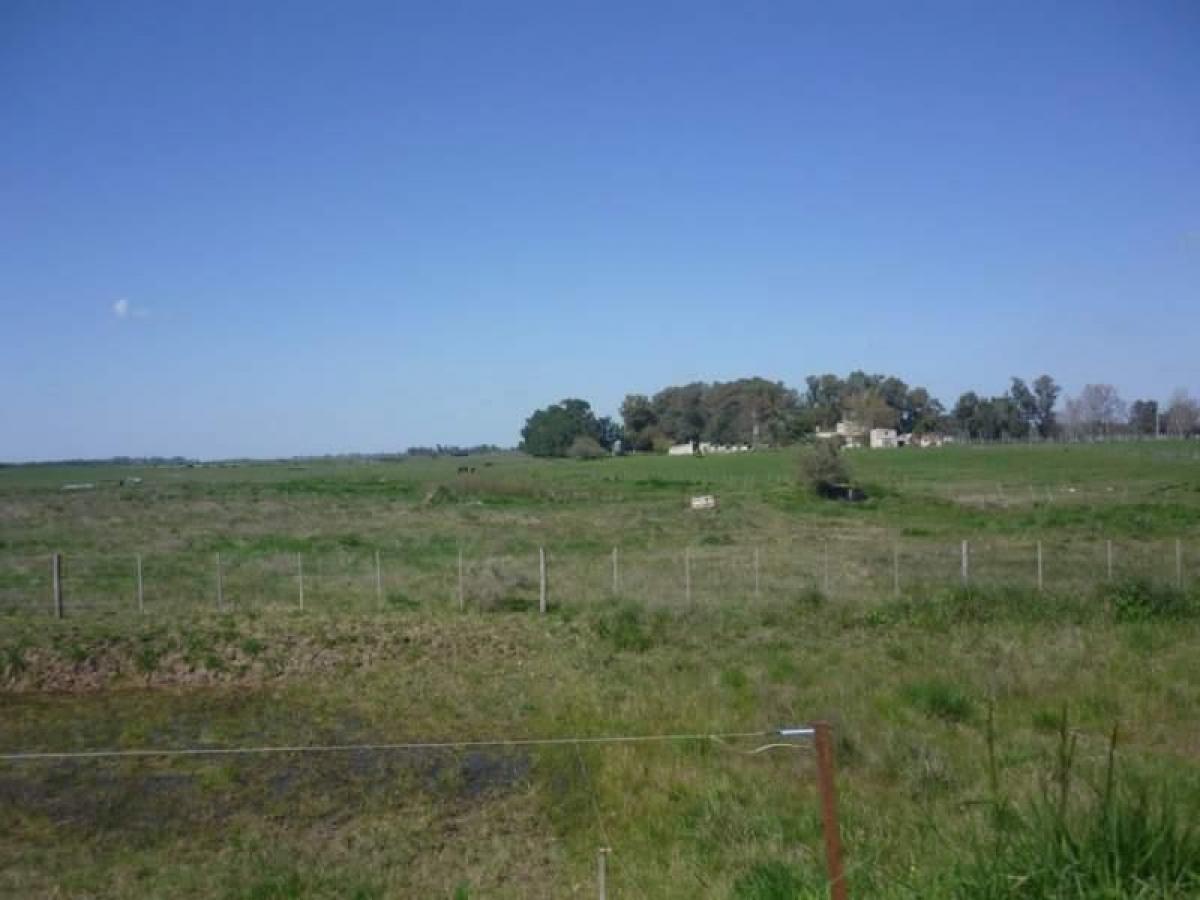 Picture of Residential Land For Sale in Chascomus, Buenos Aires, Argentina