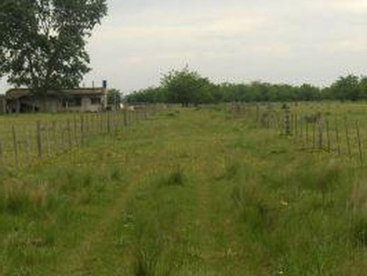 Picture of Home For Sale in San Juan, San Juan, Argentina