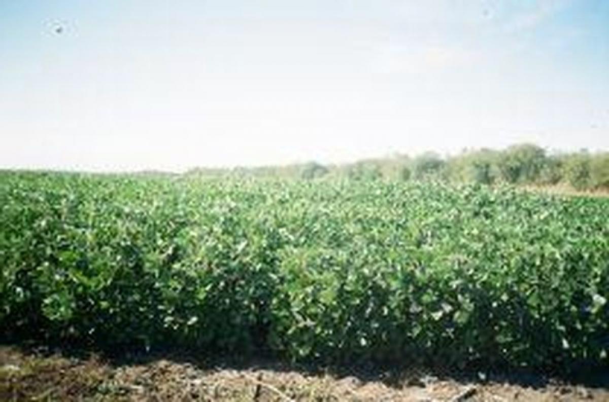 Picture of Home For Sale in San Juan, San Juan, Argentina