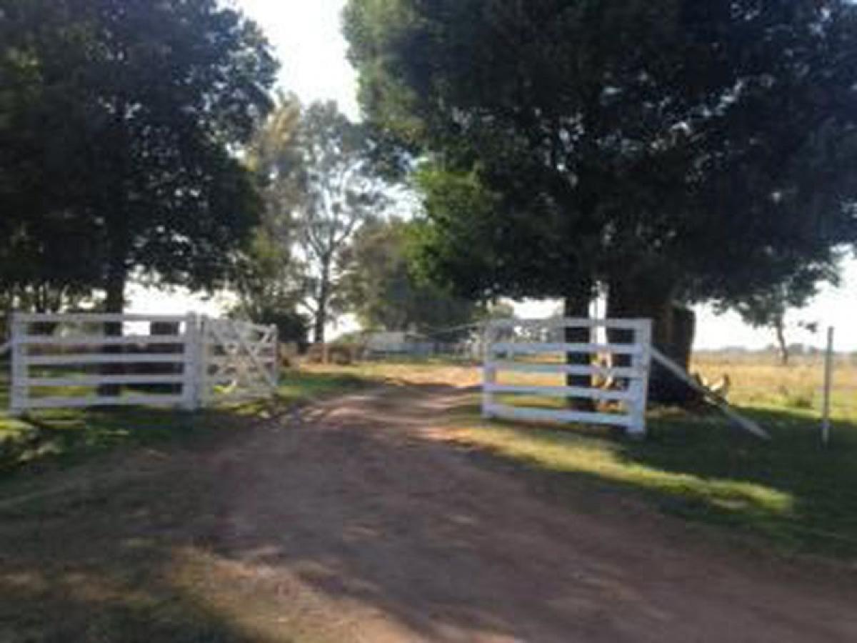 Las Flores, San Juan, San Juan, Argentina Homes For Sale at GLOBAL