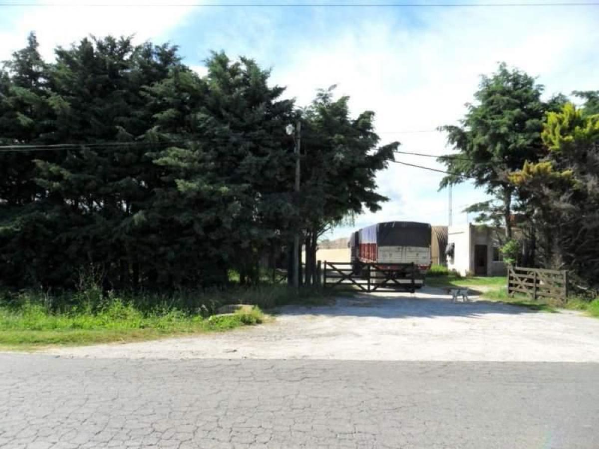 Picture of Other Commercial For Sale in La Plata, Buenos Aires, Argentina