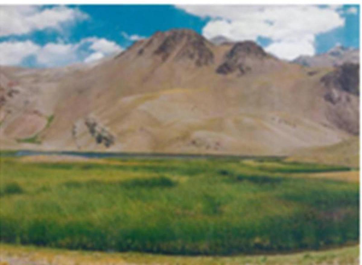 Picture of Home For Sale in San Juan, San Juan, Argentina