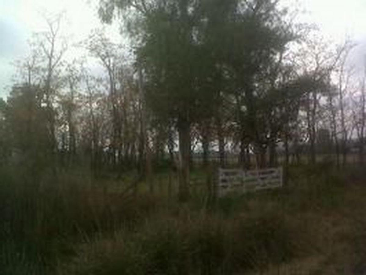 Picture of Home For Sale in Lobos, Buenos Aires, Argentina