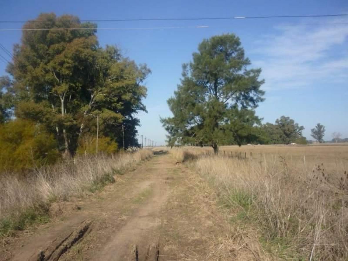 Picture of Home For Sale in Magdalena, Buenos Aires, Argentina