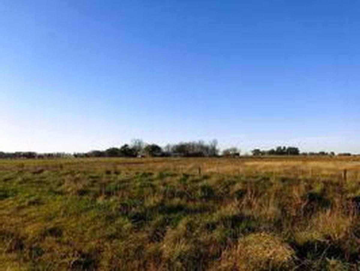 Picture of Home For Sale in San Juan, San Juan, Argentina