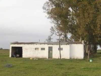 Home For Sale in Las Flores, Argentina
