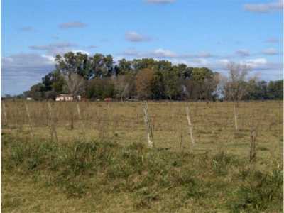 Home For Sale in Las Flores, Argentina