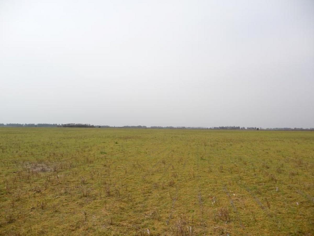 Picture of Home For Sale in Tapalque, Buenos Aires, Argentina