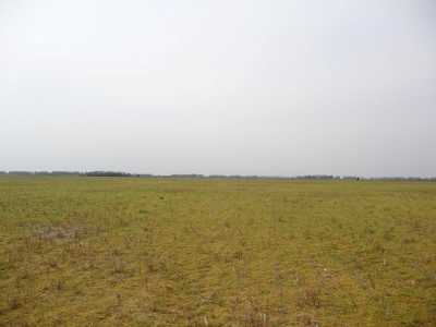 Home For Sale in Tapalque, Argentina