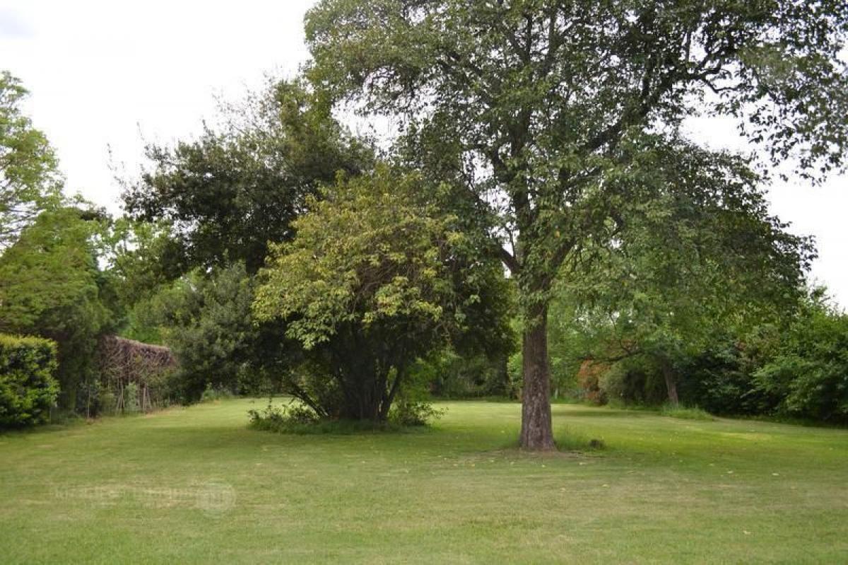 Picture of Residential Land For Sale in Bs.As. G.B.A. Zona Norte, Buenos Aires, Argentina