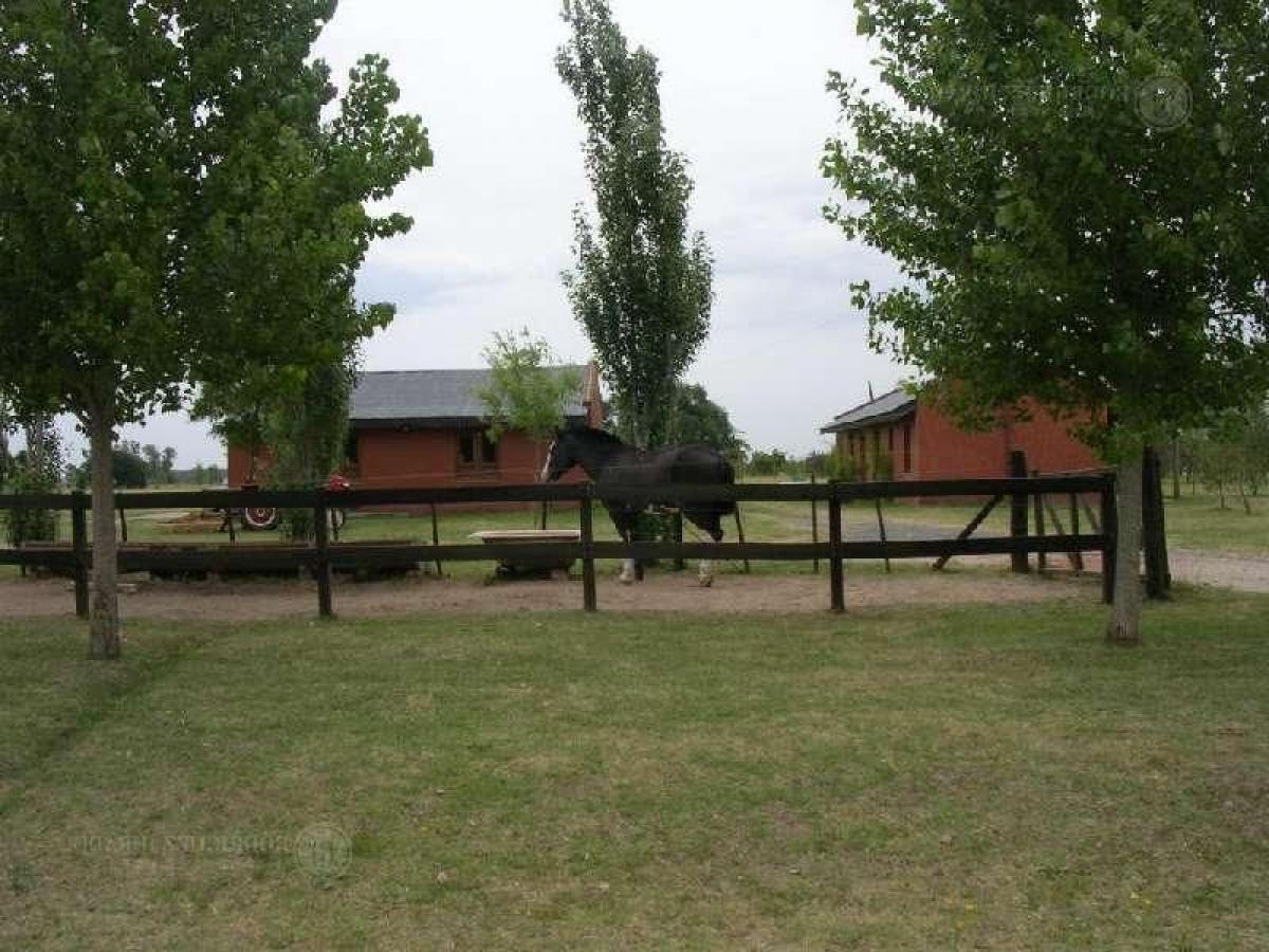 Picture of Home For Sale in Lujan, Buenos Aires, Argentina