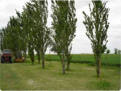 Home For Sale in San Antonio De Areco, Argentina