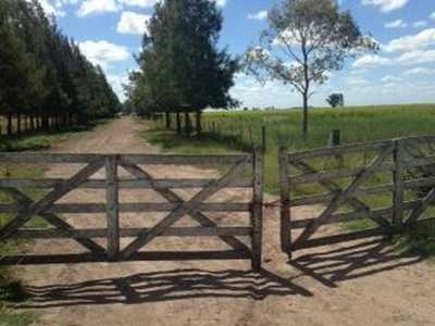 Home For Sale in Las Flores, Argentina