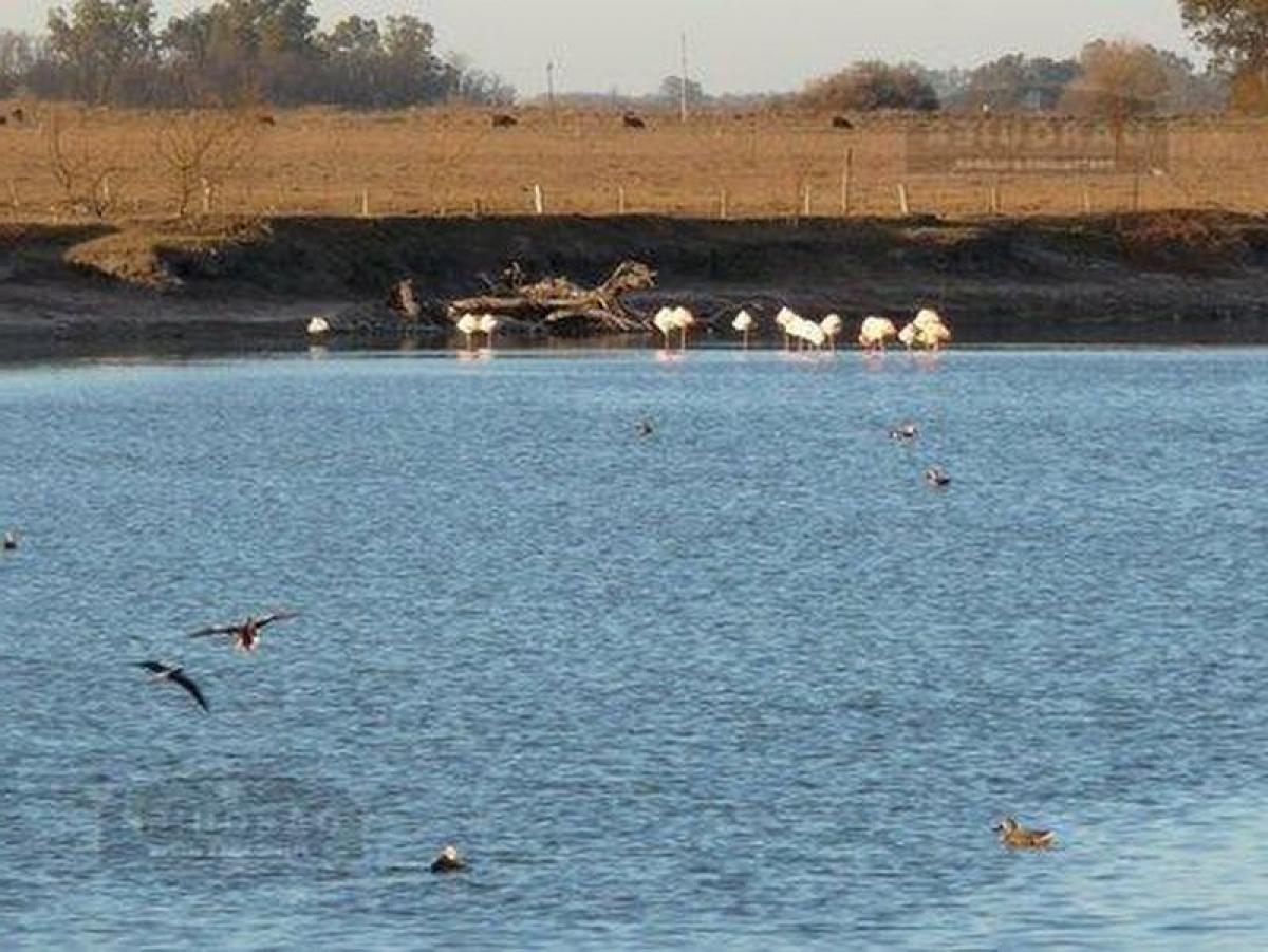 Picture of Home For Sale in Lobos, Buenos Aires, Argentina