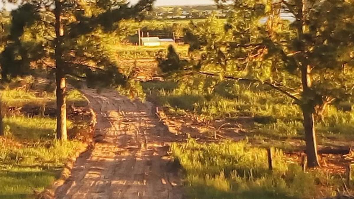 Picture of Residential Land For Sale in Corrientes, Corrientes, Argentina