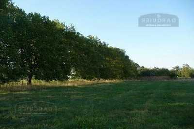 Home For Sale in Presidente Peron, Argentina