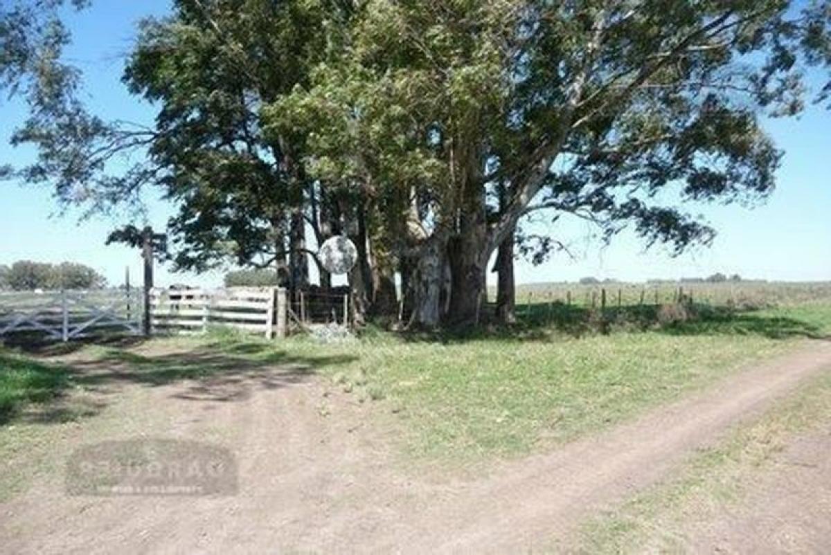 Picture of Home For Sale in Brandsen, Buenos Aires, Argentina