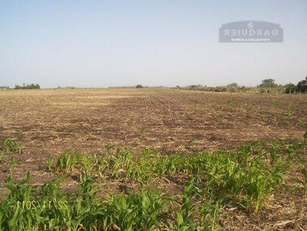 Picture of Home For Sale in Magdalena, Buenos Aires, Argentina