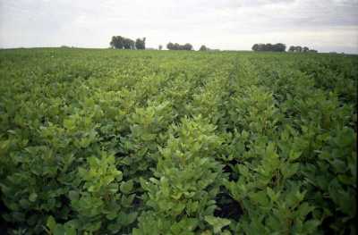 Home For Sale in Las Flores, Argentina