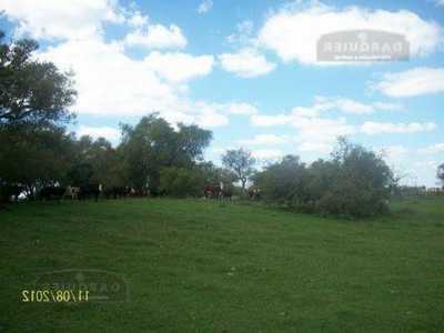 Home For Sale in Dolores, Argentina