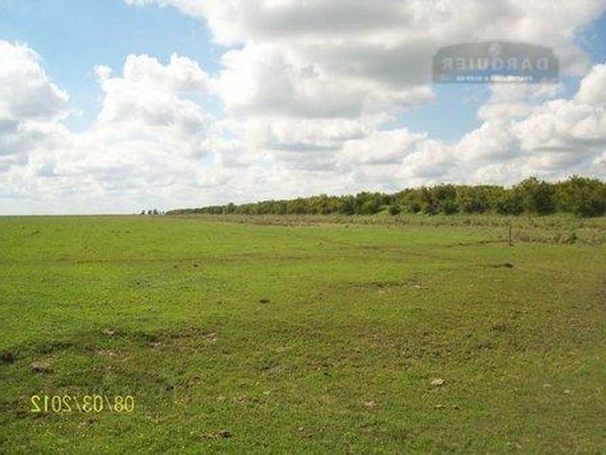 Picture of Home For Sale in Dolores, Buenos Aires, Argentina