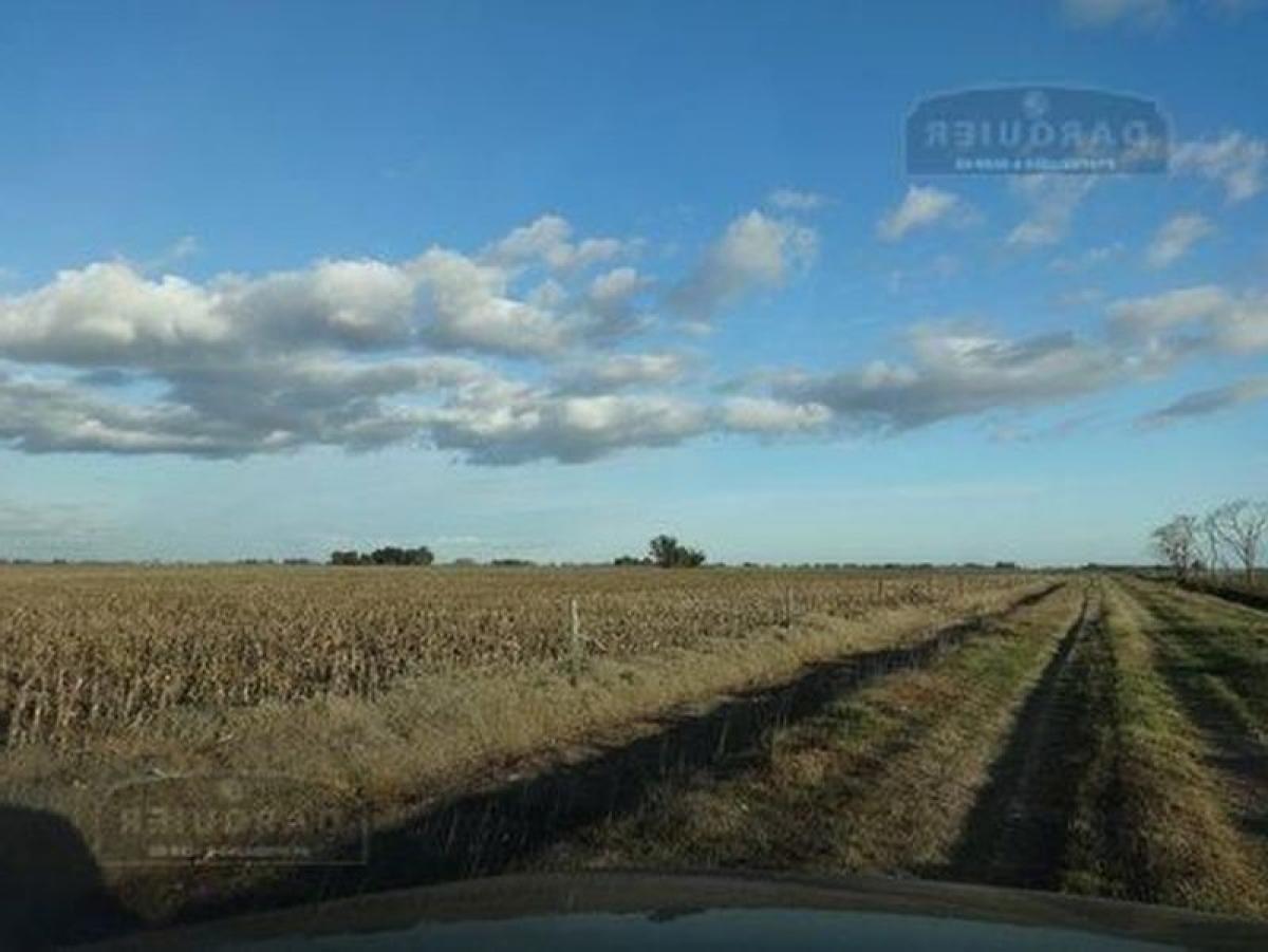 Picture of Home For Sale in Roque Perez, Buenos Aires, Argentina