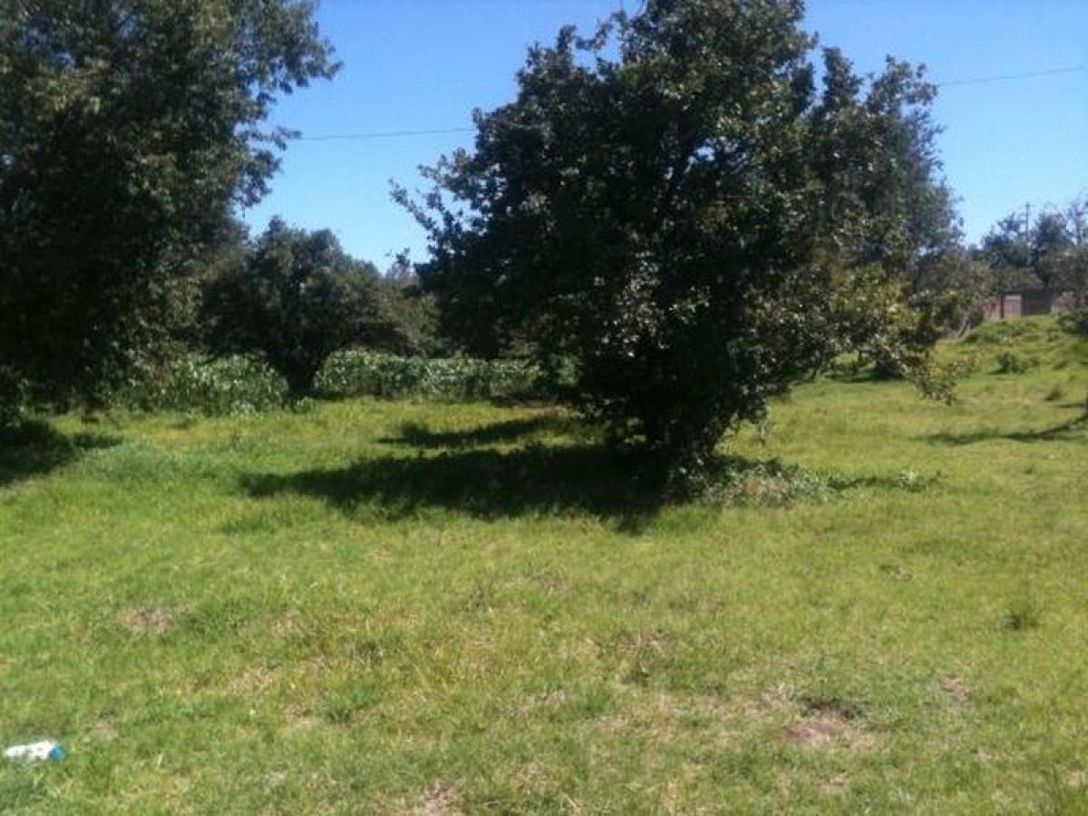 Picture of Residential Land For Sale in Ezeiza, Buenos Aires, Argentina