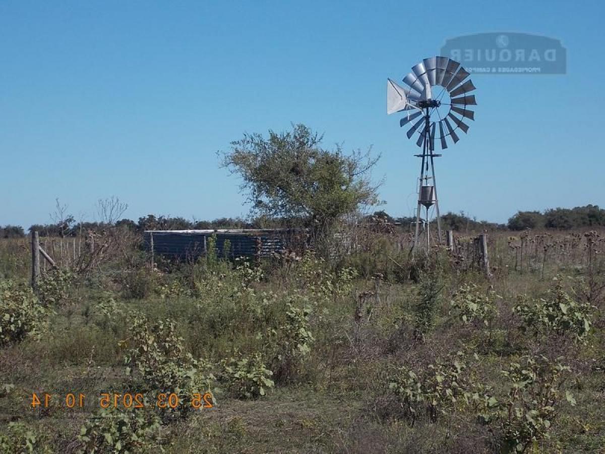 Picture of Home For Sale in Buenos Aires Interior, Buenos Aires, Argentina