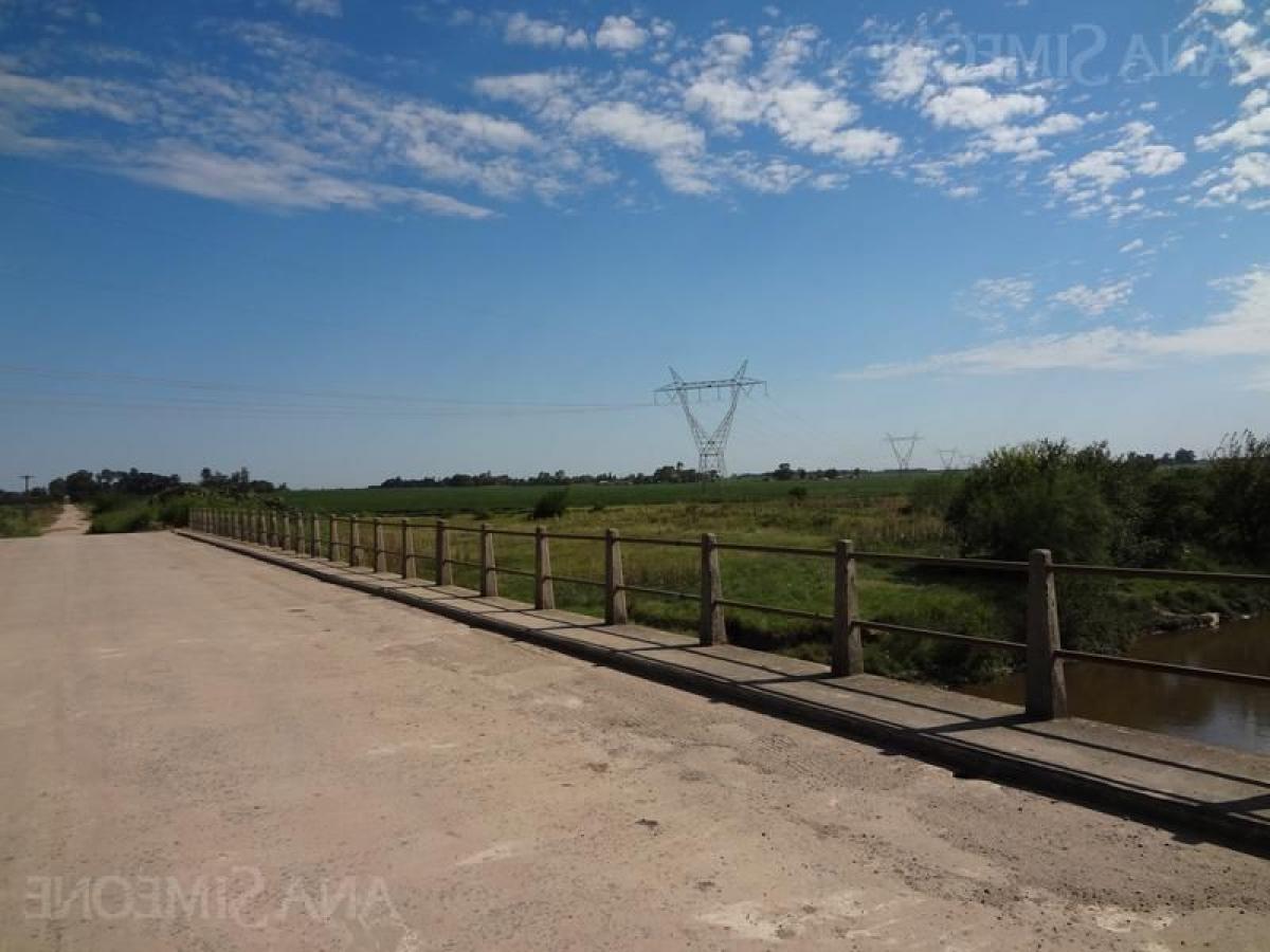 Picture of Residential Land For Sale in Ramallo, Buenos Aires, Argentina