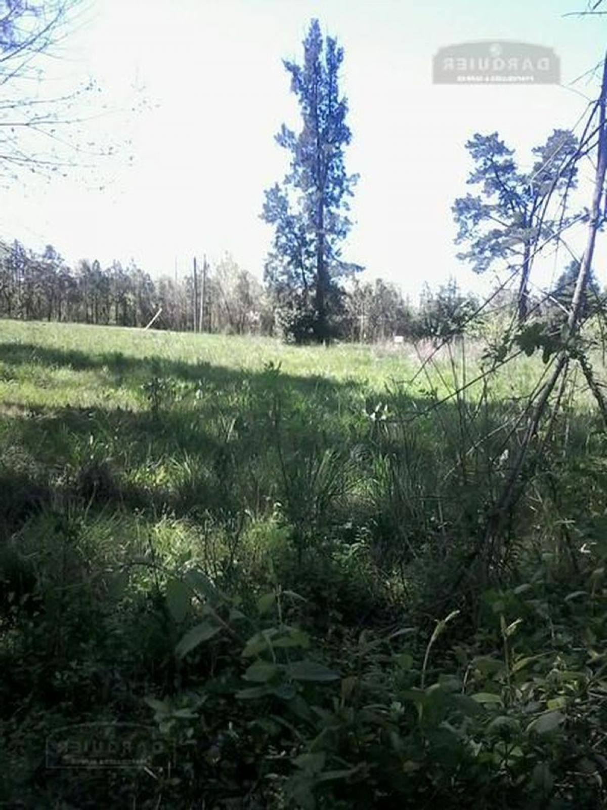 Picture of Residential Land For Sale in Presidente Peron, Buenos Aires, Argentina