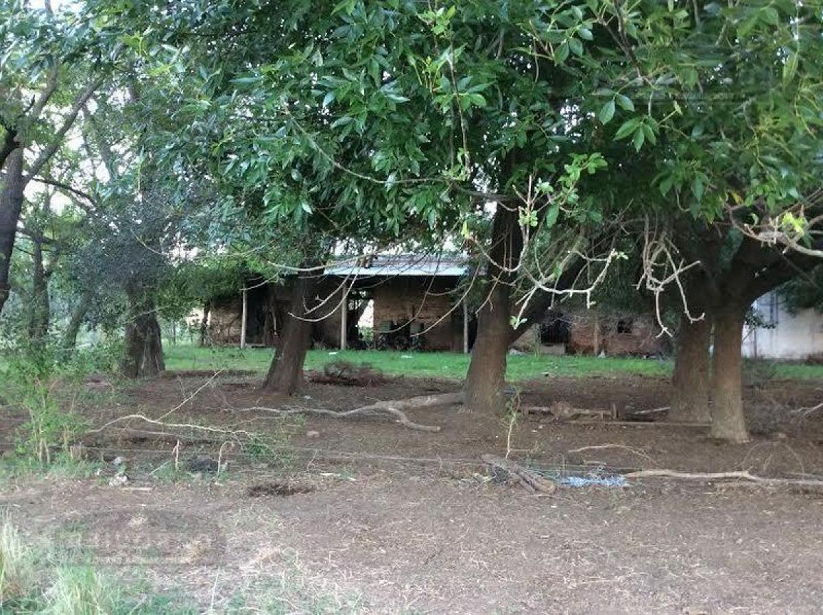 Picture of Home For Sale in Brandsen, Buenos Aires, Argentina