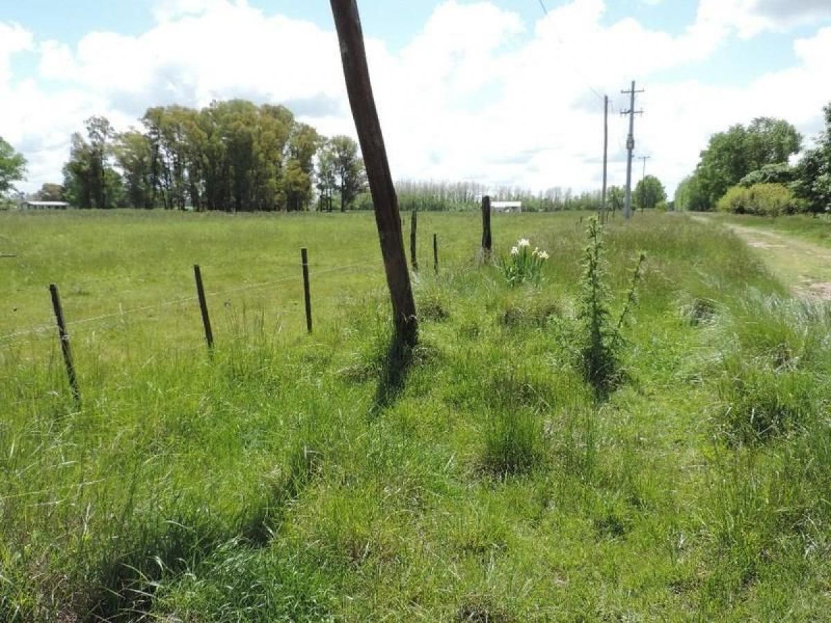 Picture of Residential Land For Sale in Ezeiza, Buenos Aires, Argentina